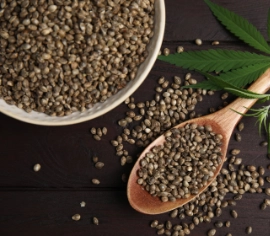 Cannabis